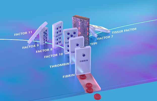 Clotting cascade in hemophilia with inhibitors illustration